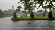 Mưa lớn kéo dài từ Bắc vào Nam, nguy cơ lũ quét và sạt lở đất