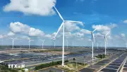 Mua bán sáp nhập năng lượng Việt Nam tăng tốc mạnh mẽ
