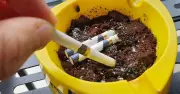 Mua thuốc lá có thể phải xuất trình căn cước công dân từ 2025