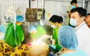 Nam công nhân bị kẹt tay trong máy tái chế nhựa đã qua cơn nguy kịch