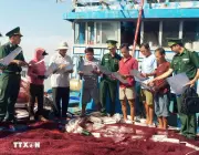 Đà Nẵng tái cơ cấu đội tàu hướng tới nghề cá hiện đại và gỡ thẻ vàng IUU