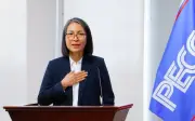 PECC2 bầu bà Phạm Liên Hải làm Chủ tịch HĐQT thay ông Nguyễn Chơn Hùng
