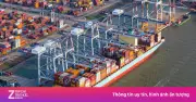 Phí logistics ngốn hơn nửa lợi nhuận gộp, doanh nghiệp xuất khẩu kêu cứu