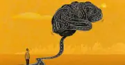 Phát hiện protein Arc tiếp tay Tau gây Alzheimer, mở ra hướng điều trị mới