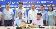 Sâm Ngọc Linh: Hợp tác khoa học để chuẩn hóa và thương mại hóa dược liệu quý