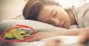 Đặt 5 vật dưới gối để thu hút may mắn, tài lộc theo Vastu Shastra