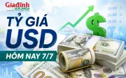 Tỷ giá USD hôm nay 7/7: Đồng đô la Mỹ thị trường chợ đen chững giá