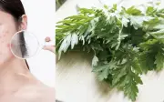 Trị mụn bằng ngải cứu hiệu quả, an toàn, không để lại vết thâm