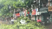 Tuyên Quang thiệt hại 17 tỷ đồng do mưa dông, hơn 133ha lúa bị ảnh hưởng