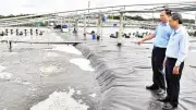 Đầu tư hạ tầng và công nghệ giúp nuôi tôm Vĩnh Long tăng trưởng vượt bậc