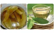 Uống nước lá ổi tươi có tác dụng gì? Cách uống đúng chuẩn