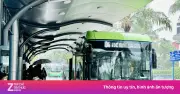 Xe buýt miễn phí tại TP.HCM từ 1/7: 134 tuyến, không cần check-in 3 tháng đầu
